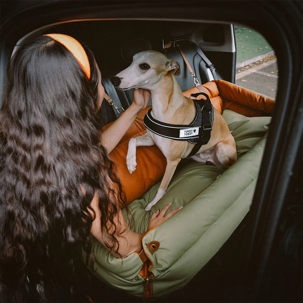 LuxiRider™ Dual Dog Car Seat & Bed