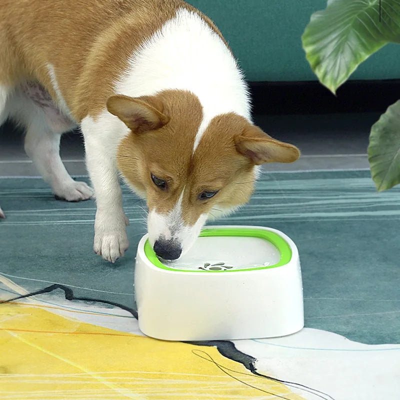 SpillGuard™ Pet Hydration Bowl