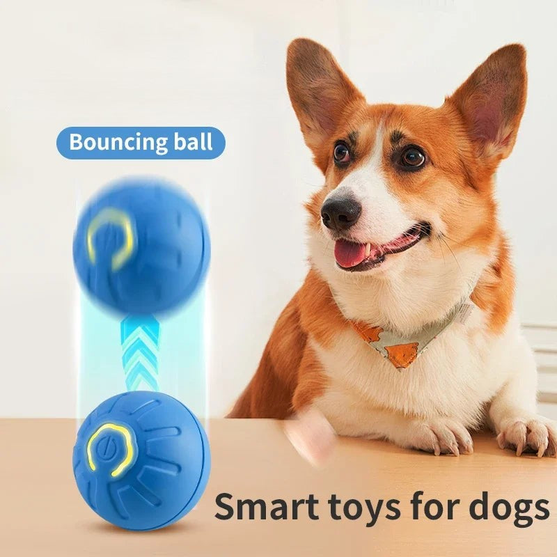 PlayPup™ Smart Interactive Ball