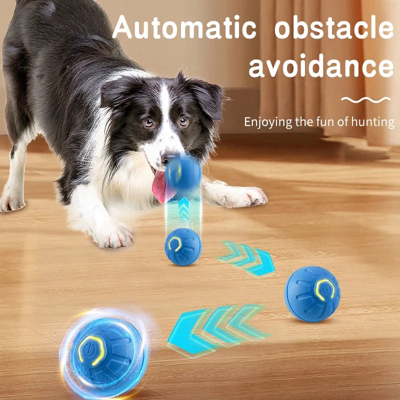 PlayPup™ Smart Interactive Ball