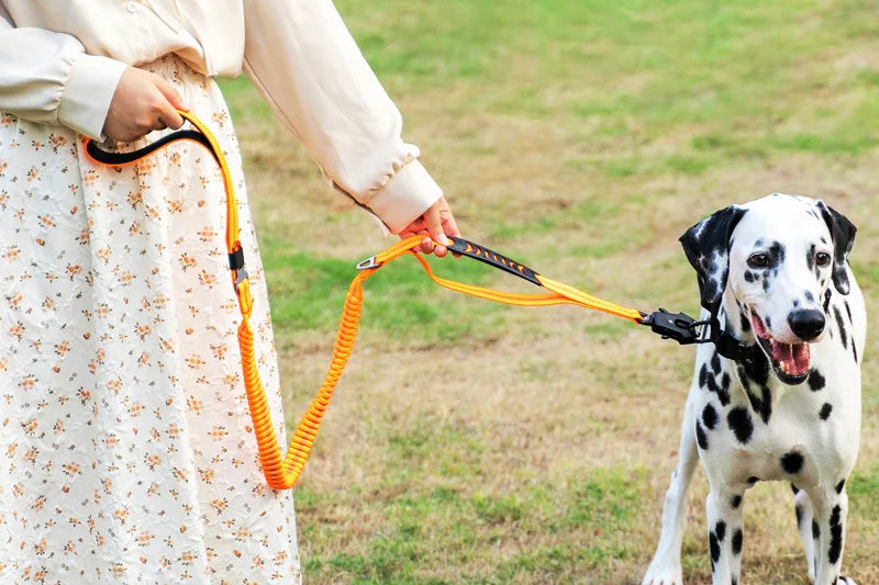 Bungee™ Heavy Duty Dog Leash