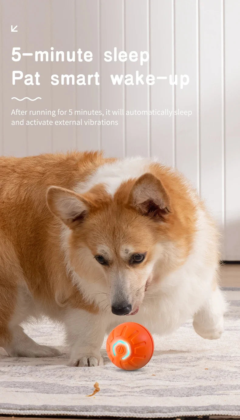 PlayPup™ Smart Interactive Ball