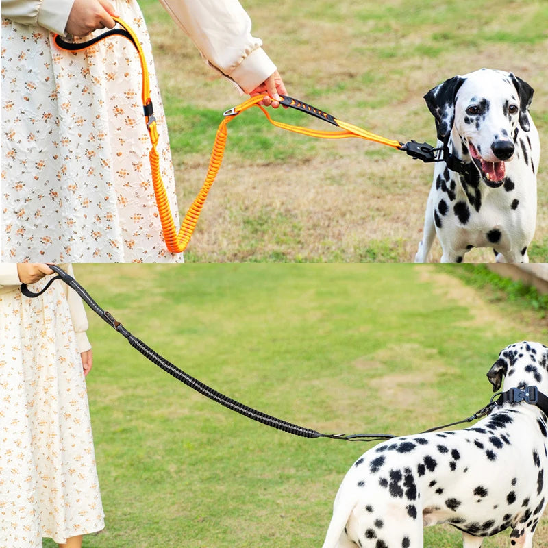 Bungee™ Heavy Duty Dog Leash