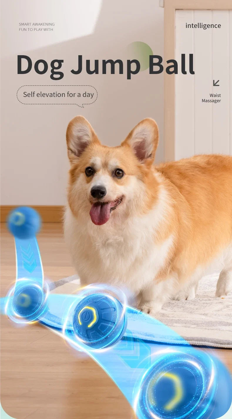 PlayPup™ Smart Interactive Ball